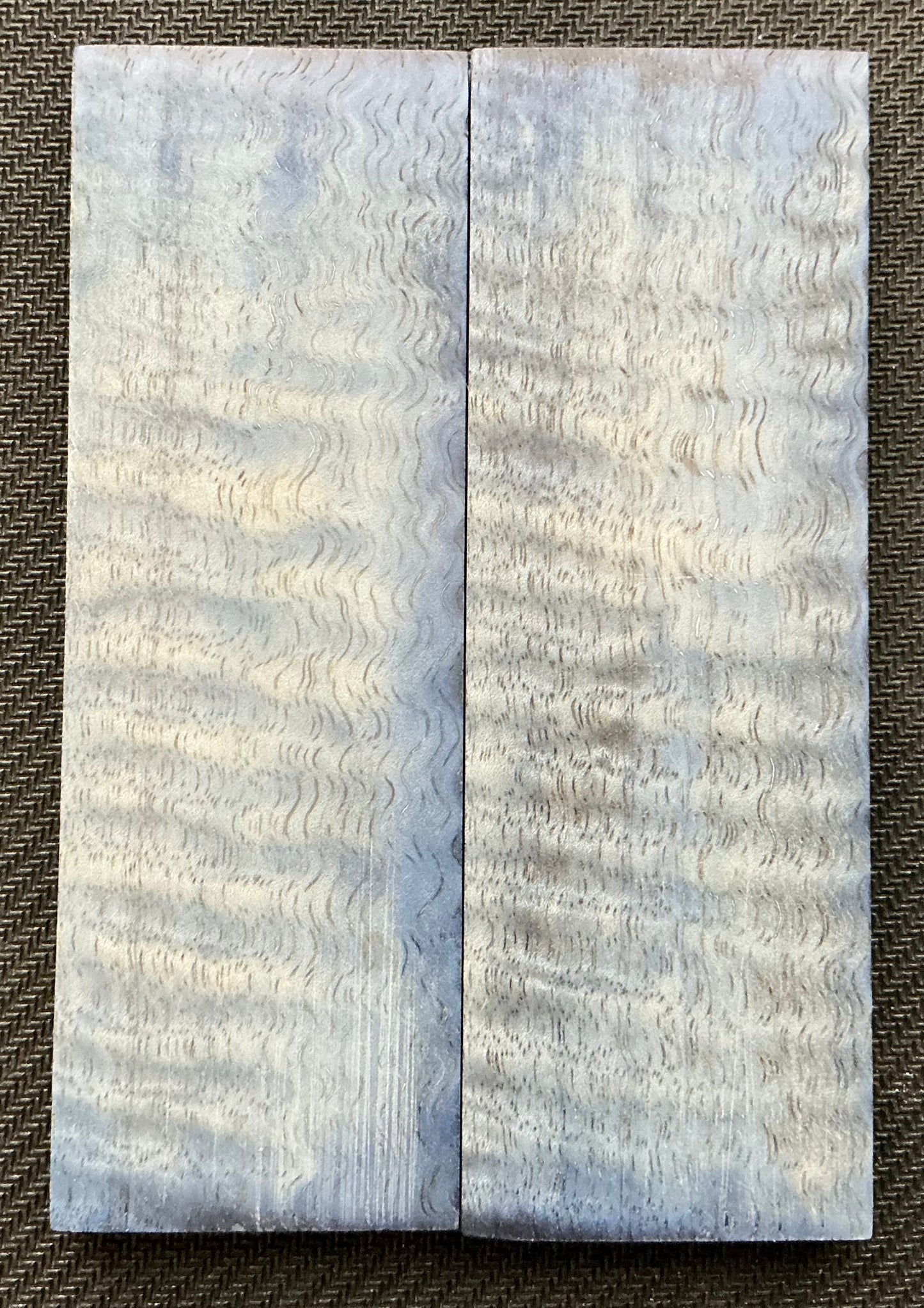 Curly Mango - K&G Dyed Blue and Stabilized