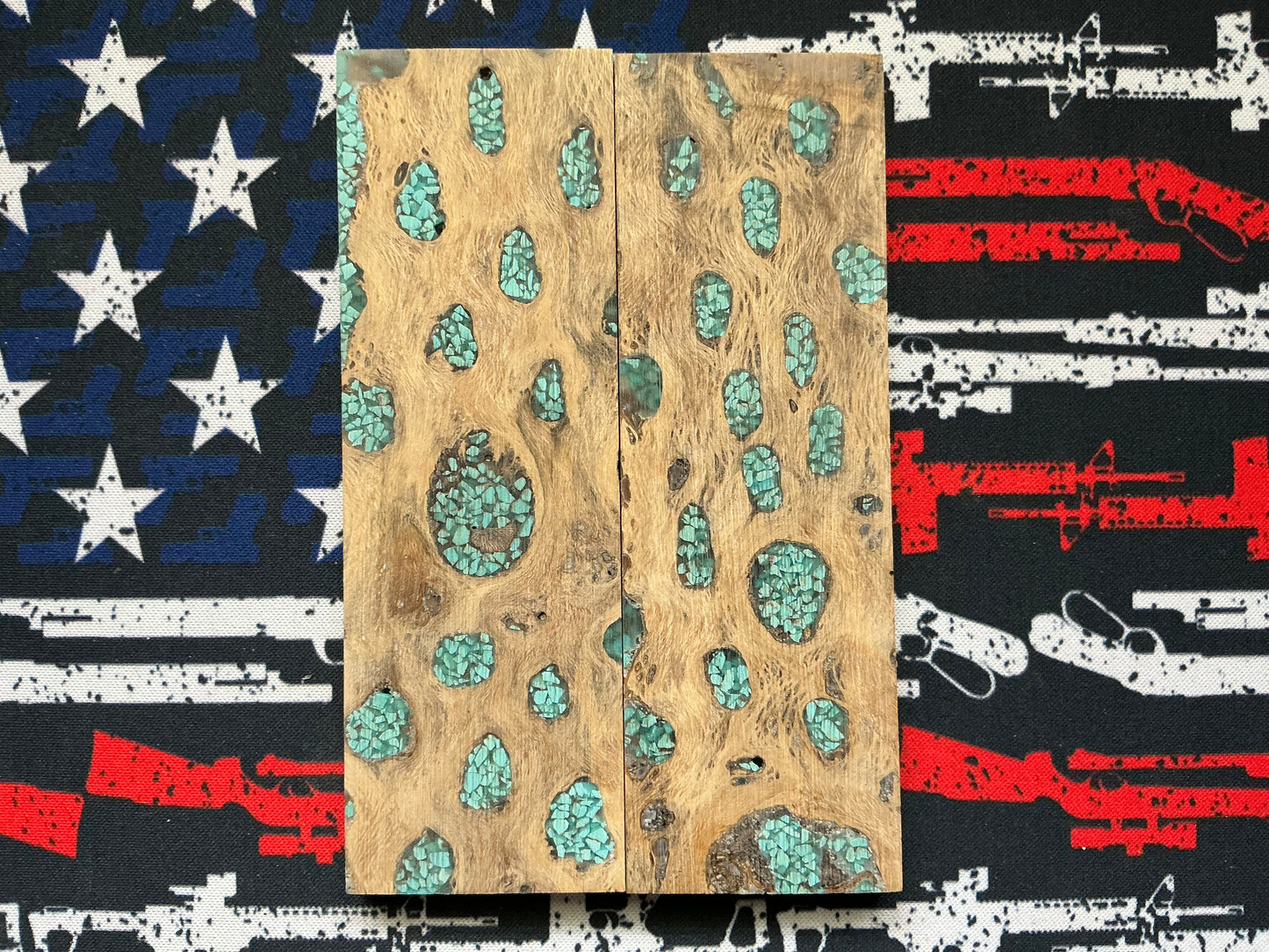 Cholla Cactus with Blue Turquoise