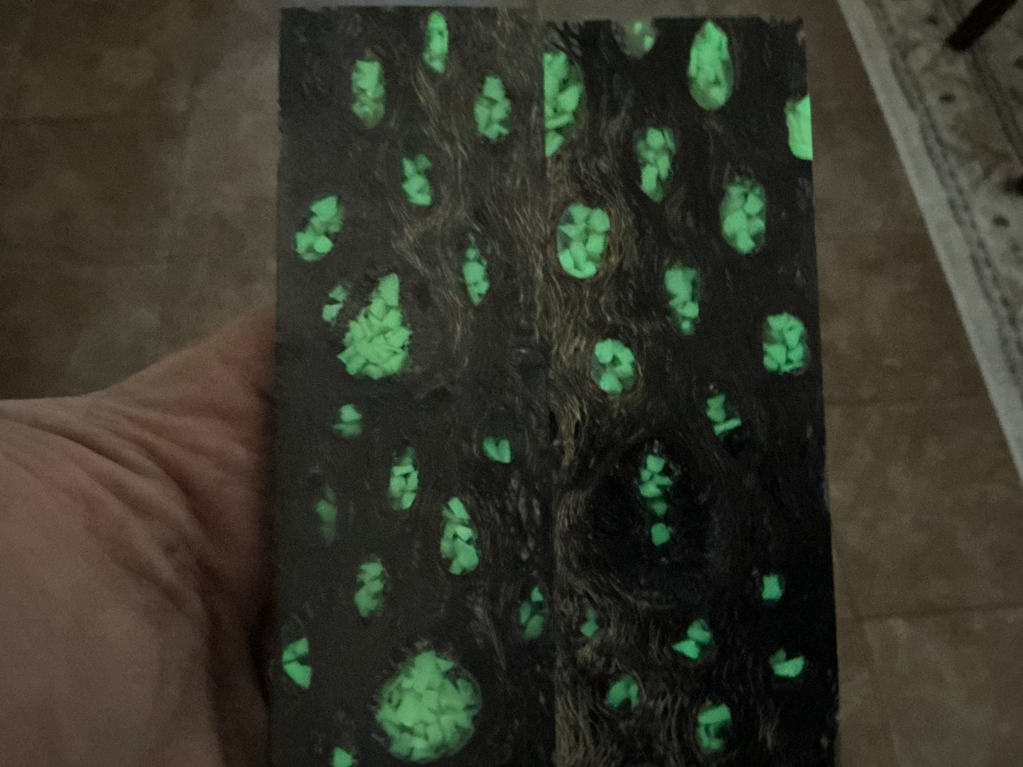 Black Cholla Cactus with Glow Rock Inlay