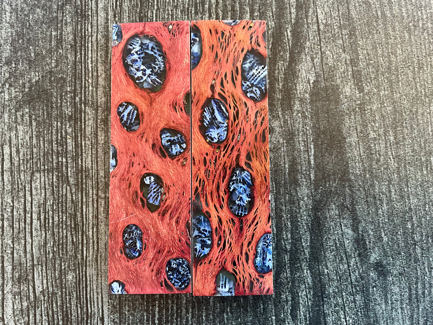 Cholla Cactus (Red) with Blue Brian Coral Inlay - K&G Stabilized - Folder