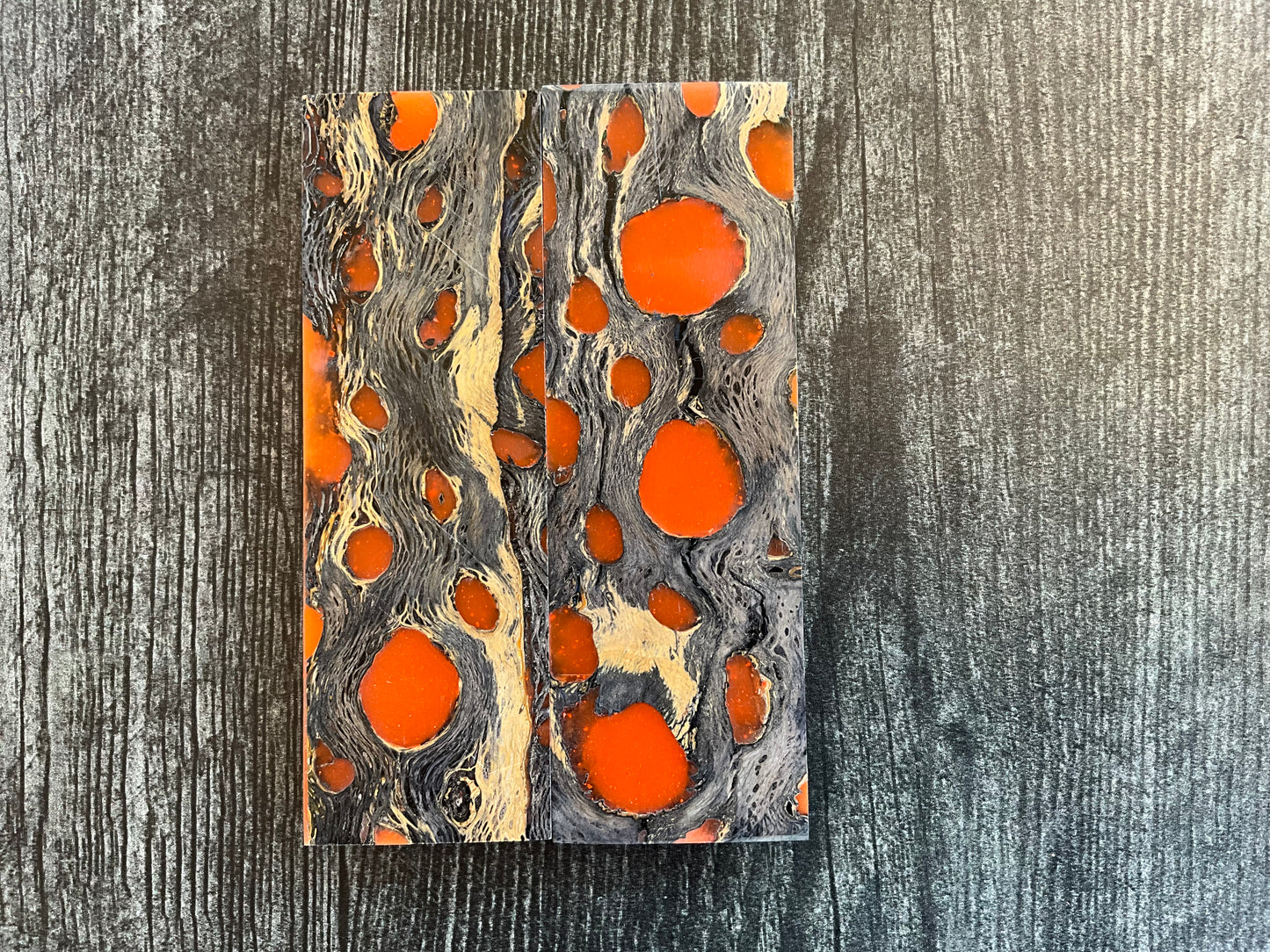 Cholla Cactus (Black) with Orange Resin Inlay - K&G Stabilized