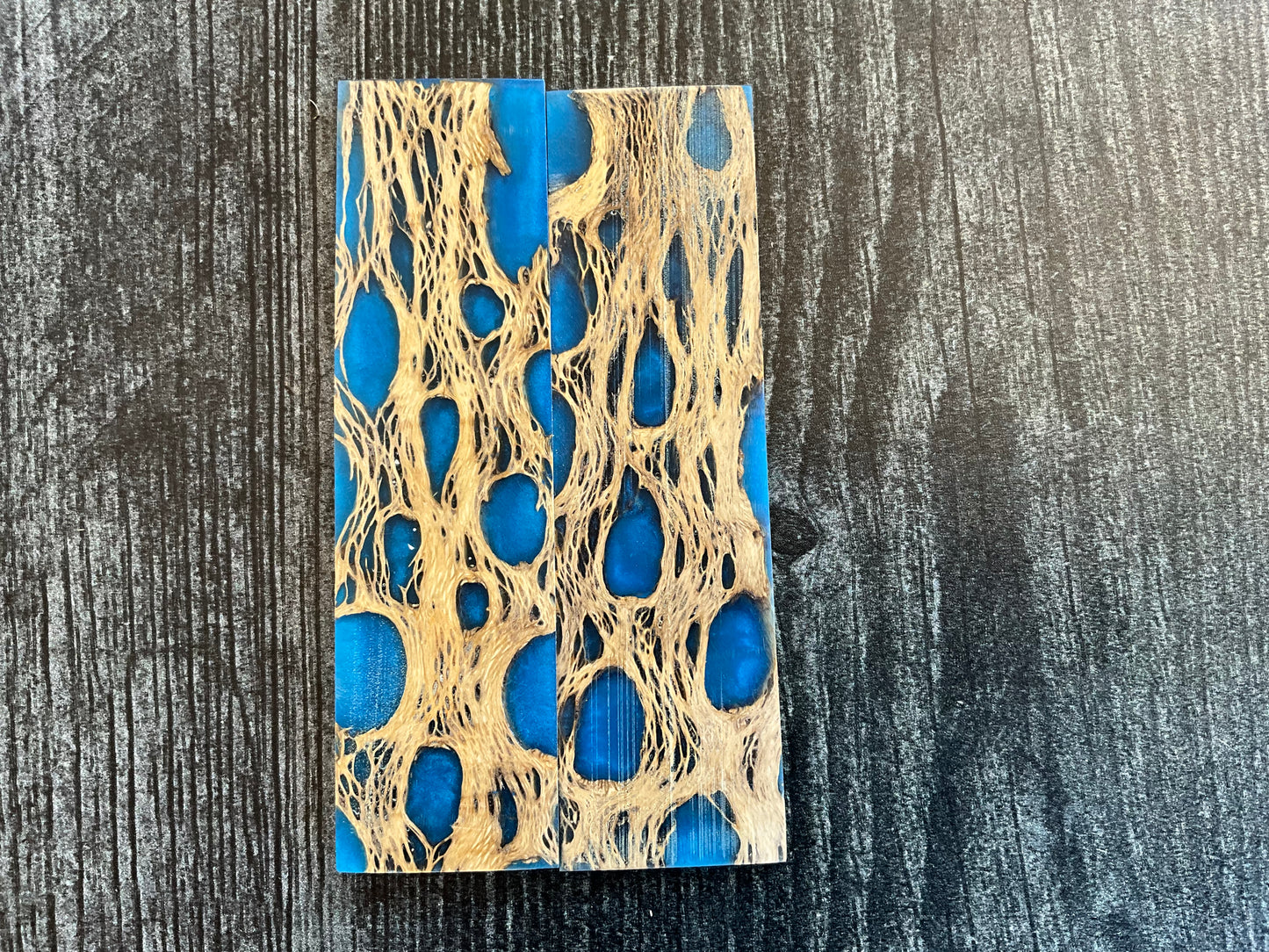 Cholla Cactus with Blue Resin Inlay - K&G Stabilized - Thin/Folder