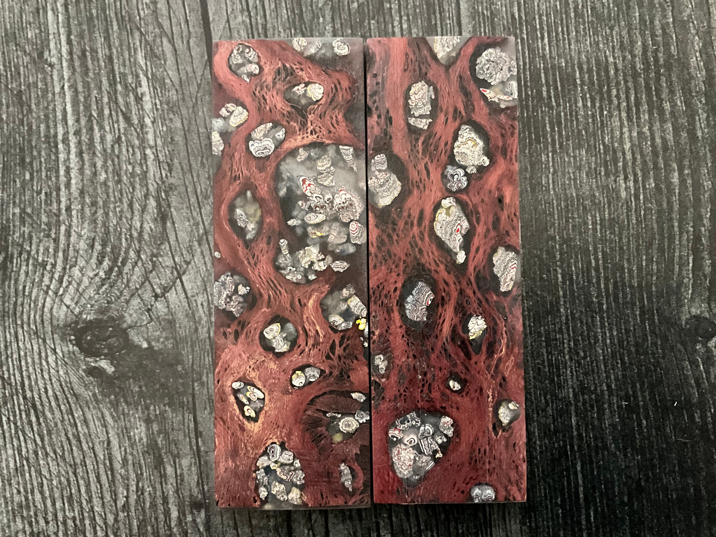 Cholla Cactus (Red) with Kenworth Fordite- K&G Stabilized