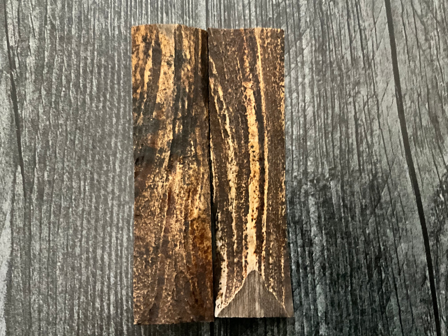 Alaskan Moose Bark