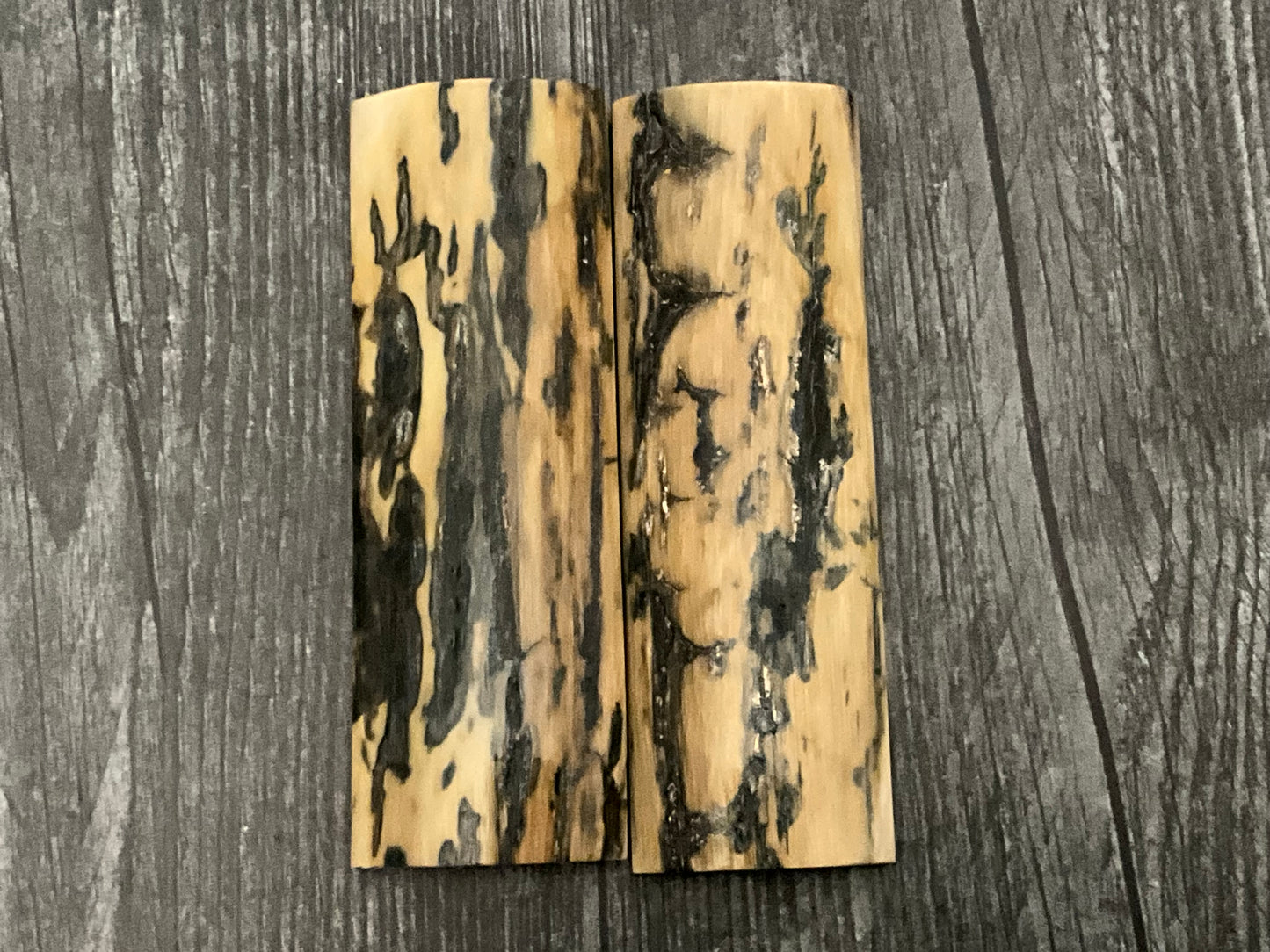 Mammoth Tusk Bark from the Permafrost - Thousands of Years Old -Thick