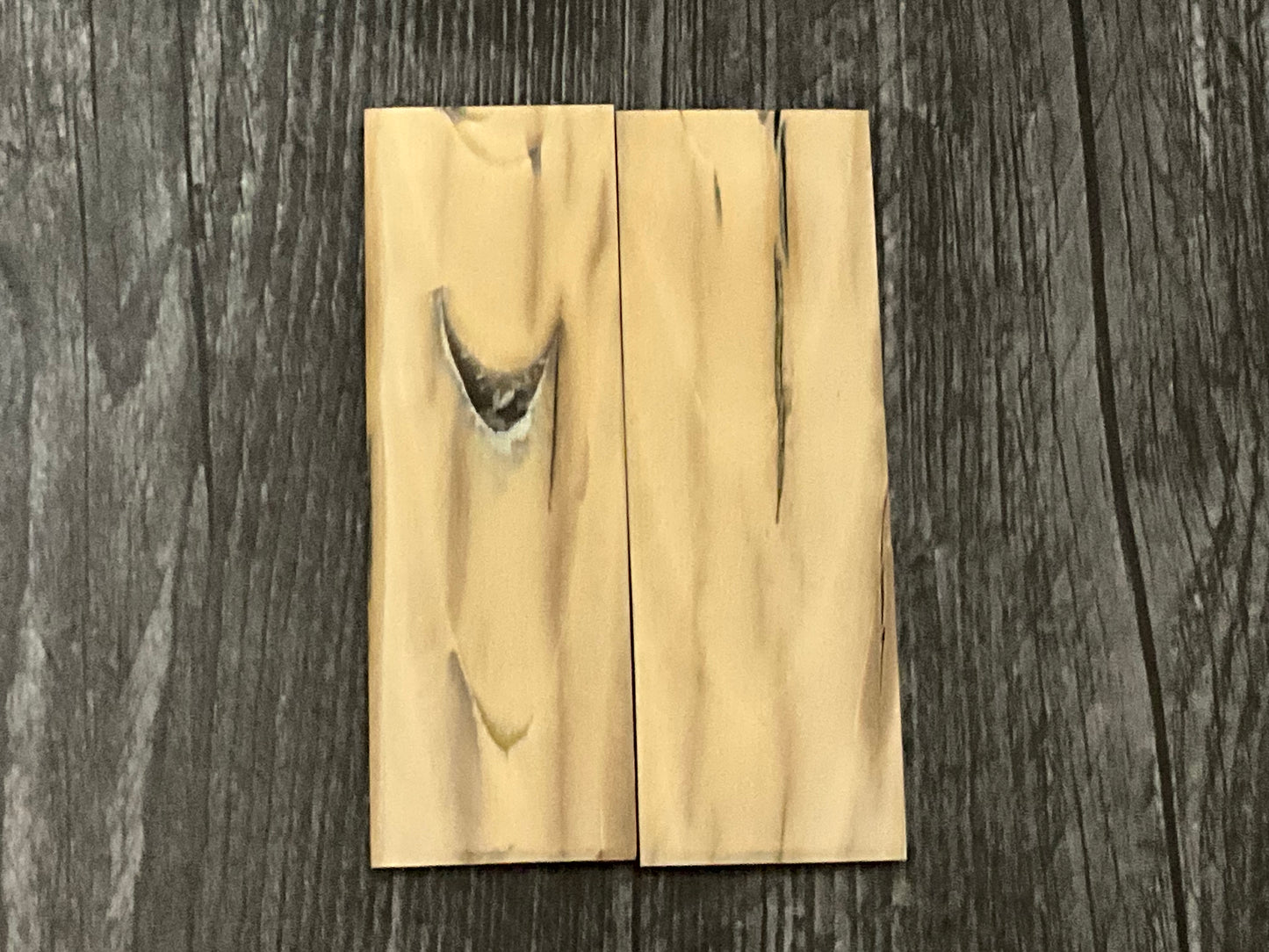 Mammoth Tusk Ivory from the Permafrost - Thousands of Years Old
