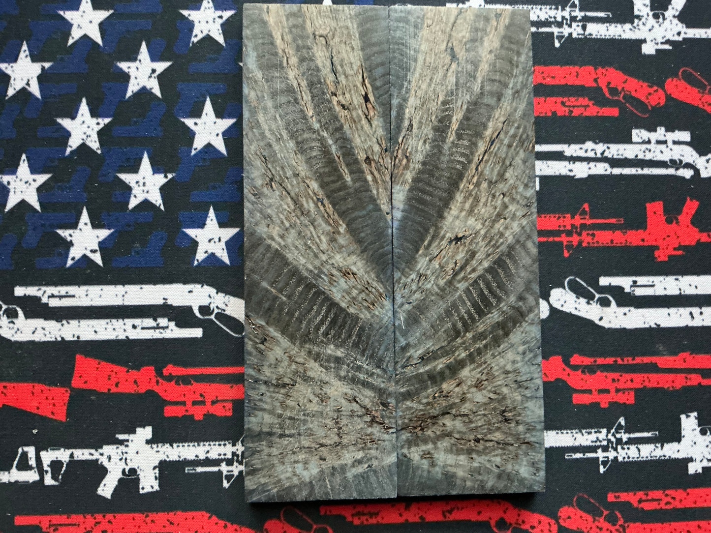 Black Ash Burl - Blue