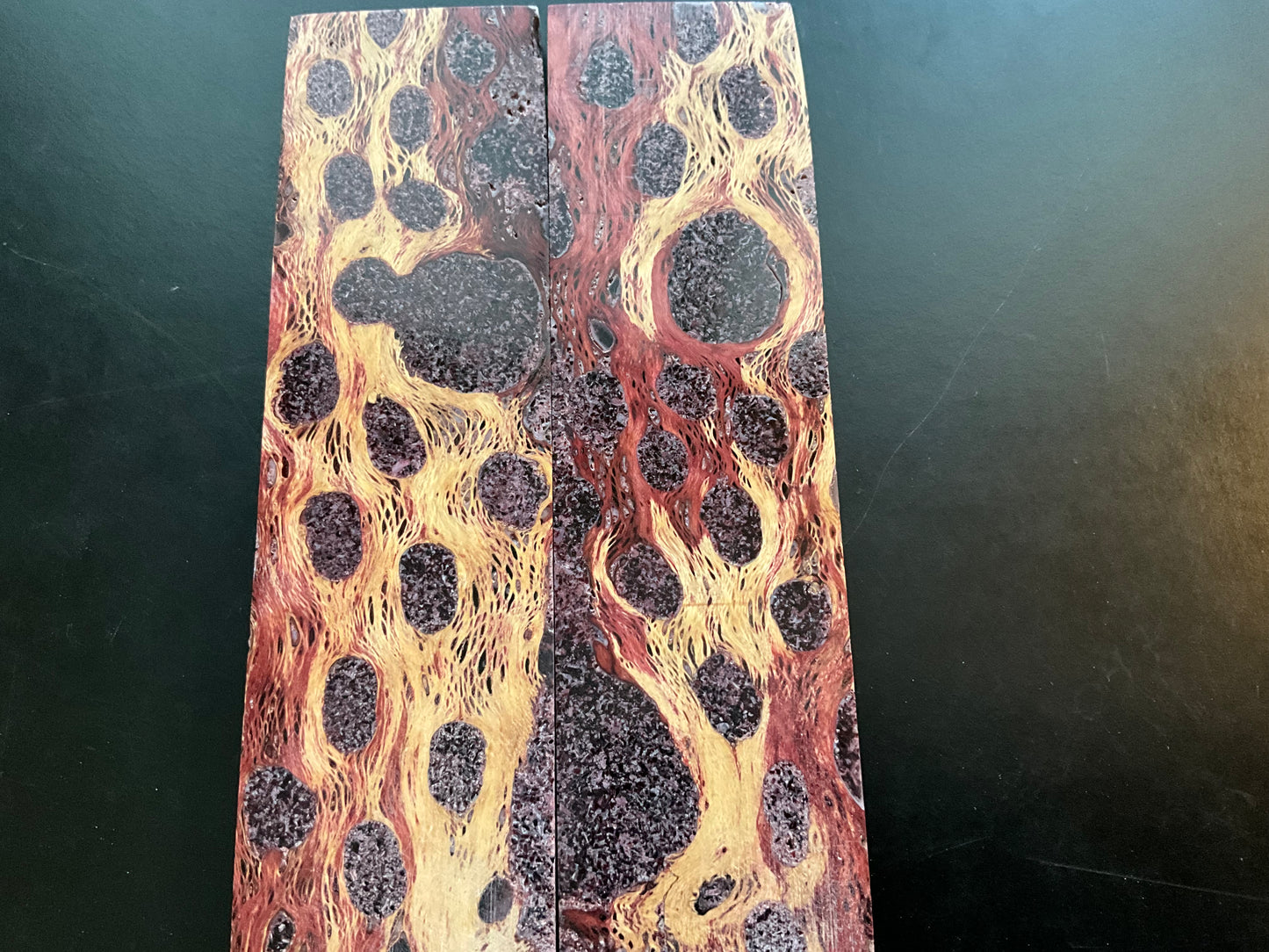 Red Dyed Cholla Cactus with Brain Coral Inlay