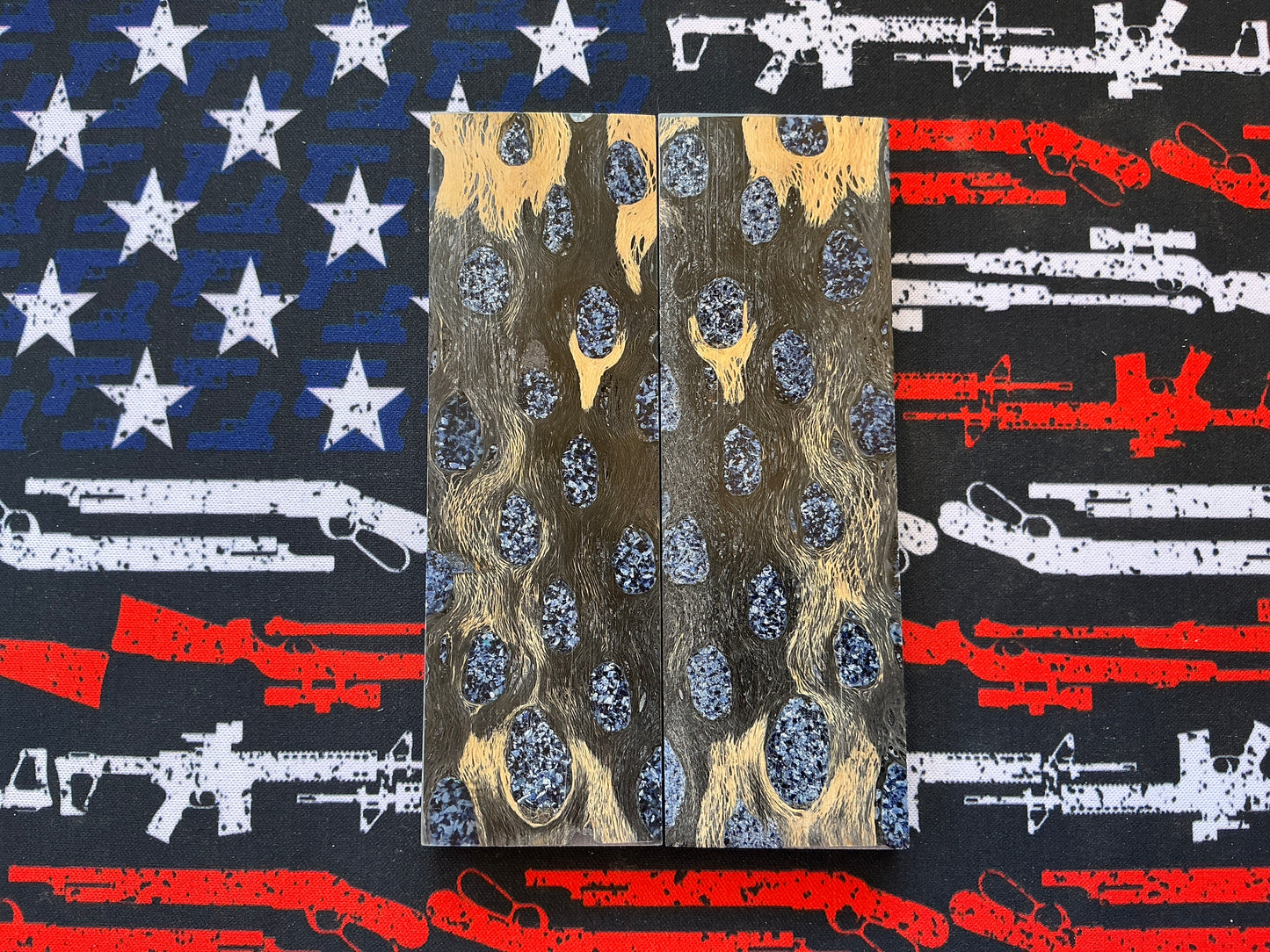 Cholla Cactus w/ Brain Coral Inlay