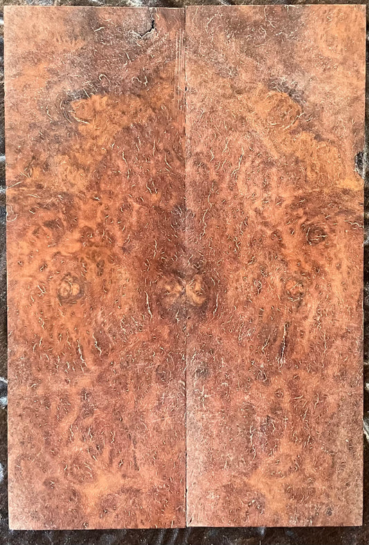 Aussie Burl - Book Match