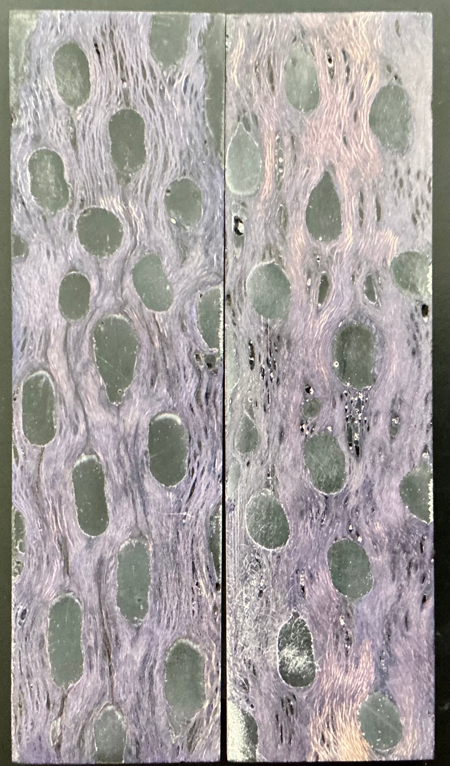 Purple Cholla Cactus with Black Resin