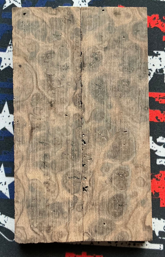 Old Growth Redwood Burl