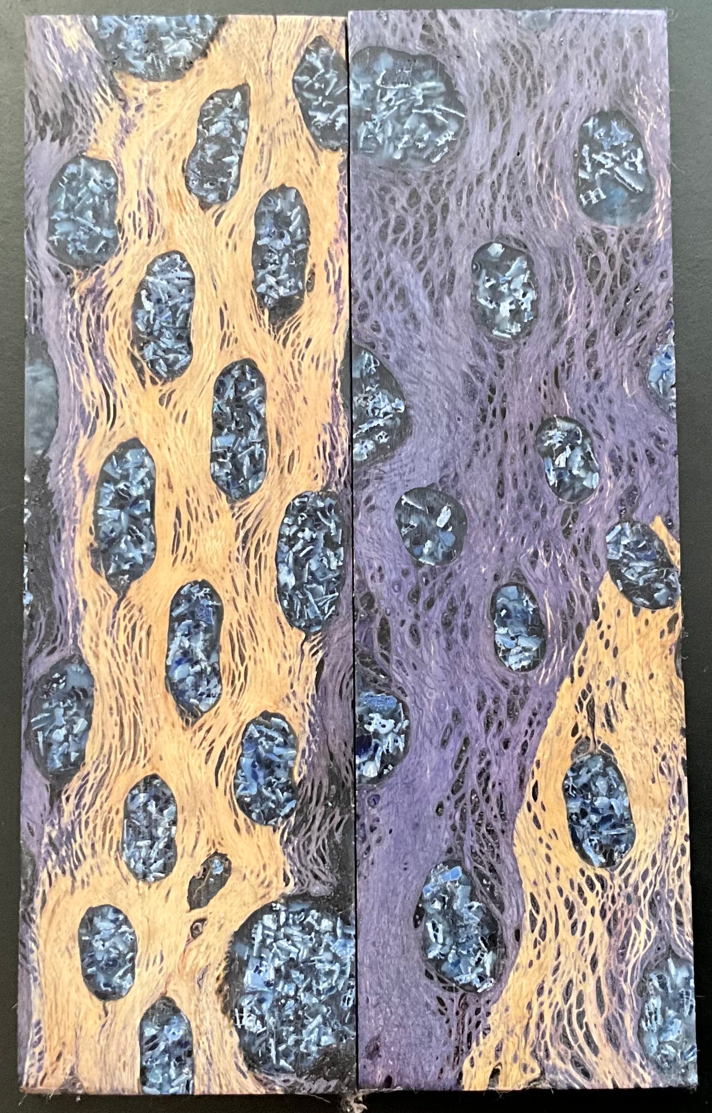 Cholla Cactus (Purple) with Brain Coral Inlay - K&G Stabilized & Dyed