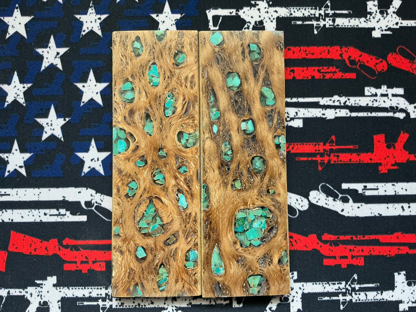 Cholla Cactus with Blue Turquoise
