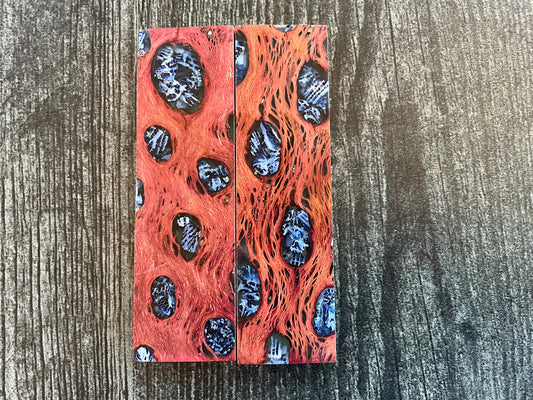 Cholla Cactus (Black) with Red Brian Coral Inlay - K&G Stabilized - Thin/Folder