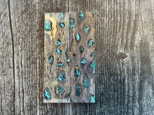 Cholla Cactus (Black) with Teal Brian Coral Inlay - K&G Stabilized - Folder - Thin