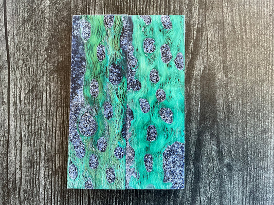 Cholla Cactus (Teal) with Blue Brian Coral Inlay - K&G Stabilized
