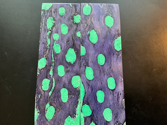 Purple Dyed Cholla Cactus with Green Turquoise Inlay