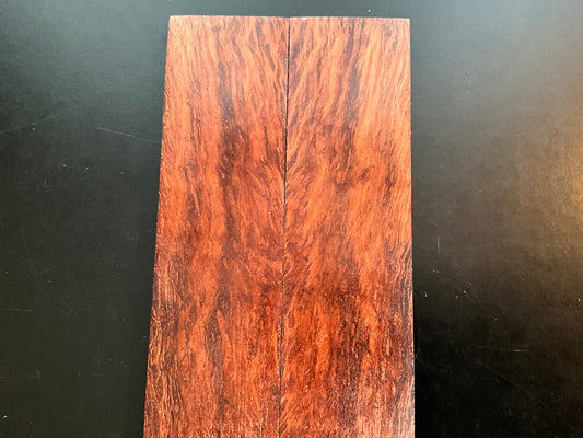Aussie Sheoak