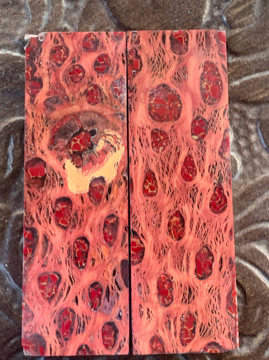 Red K&G Stabilized Cholla with Red Trustone Inlay