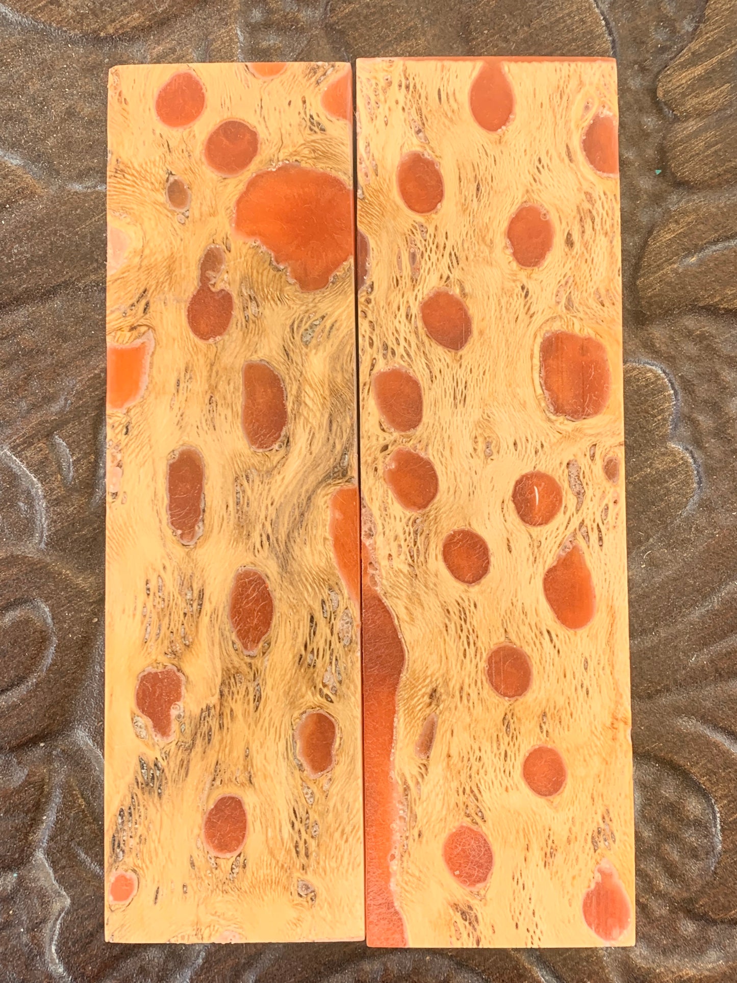 K&G Stabilized Cholla with Orange Resin Inlay