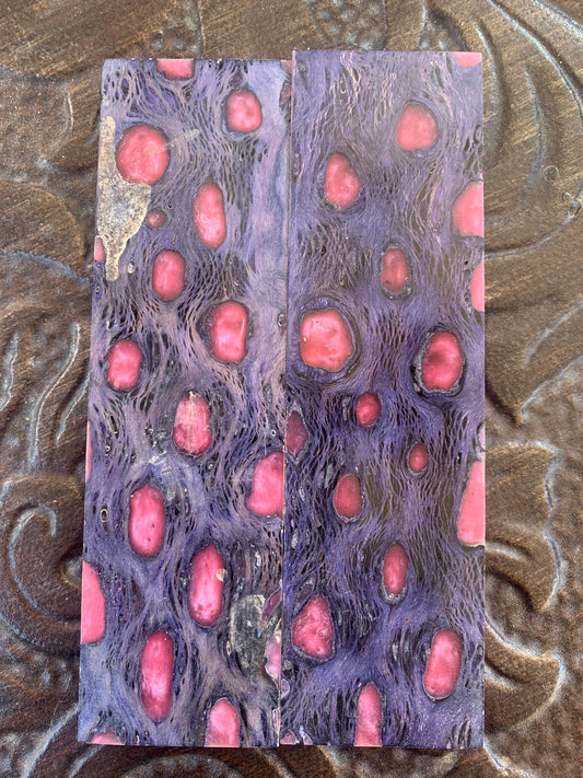 Purple K&G Stabilized Cholla with Pink Resin Inlay