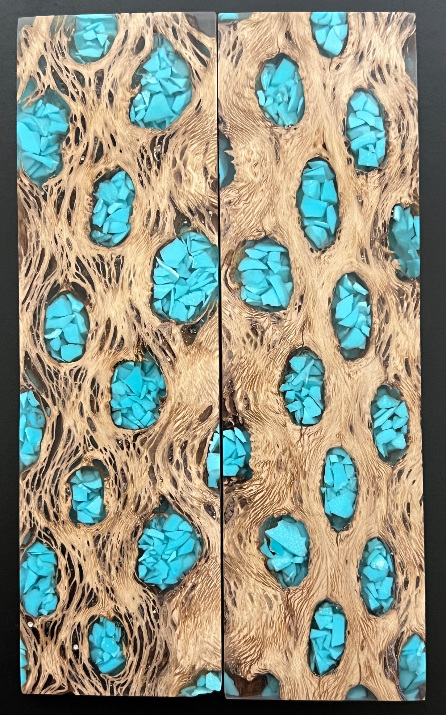 K&G Cholla Cactus with Turquoise Inlay Book Matched