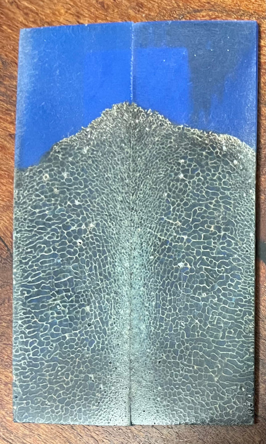 Unknown Bone from the Permafrost in Alaska casted with Blue Resin